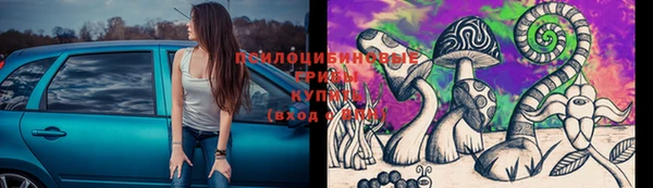 каннабис Арсеньев