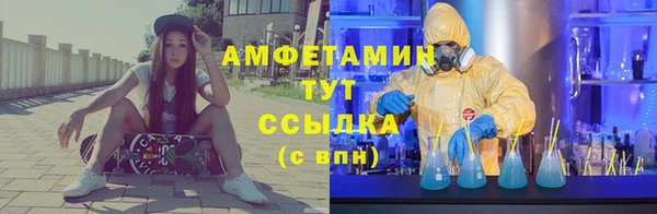 шишки Аркадак