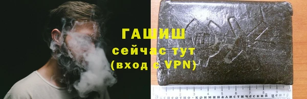 шишки Аркадак