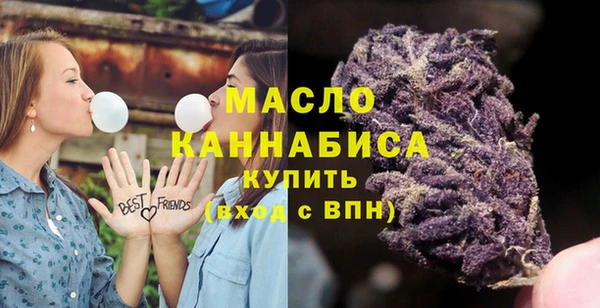 шишки Аркадак