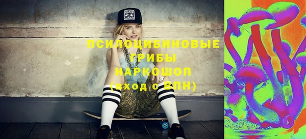 шишки Аркадак