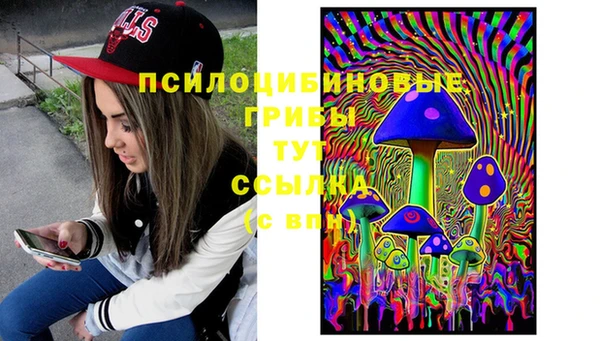 каннабис Арсеньев